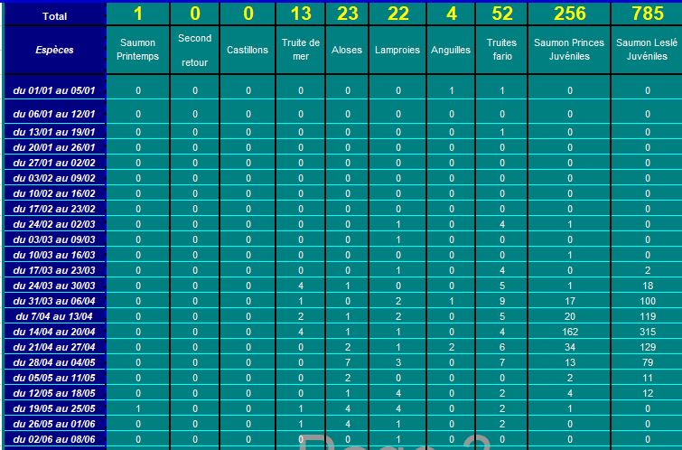 Capture2_2024