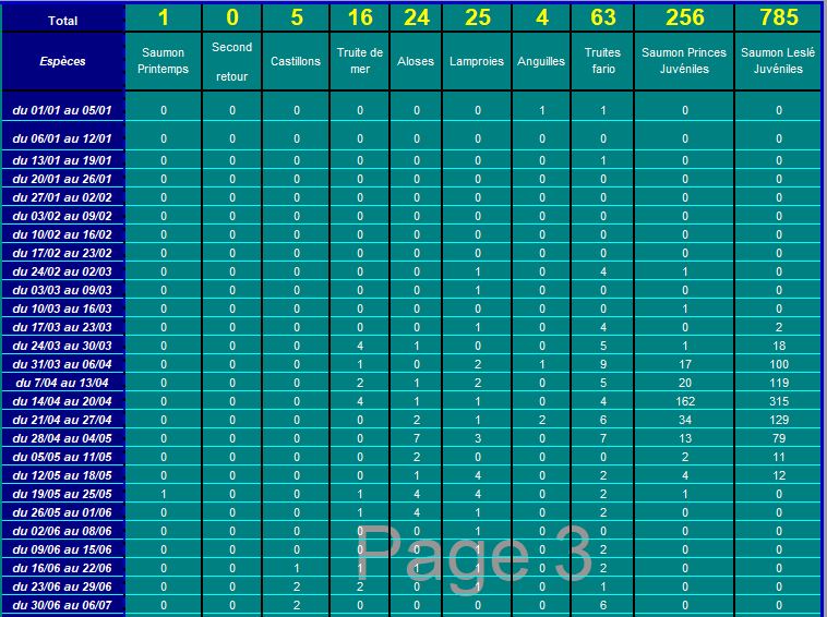 Capture2_2024