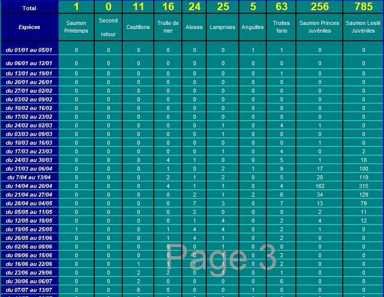 Capture2_2024