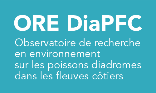 ORE Diapfc