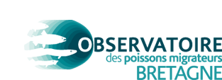 Observatoire Bretagne Grands Migrateurs