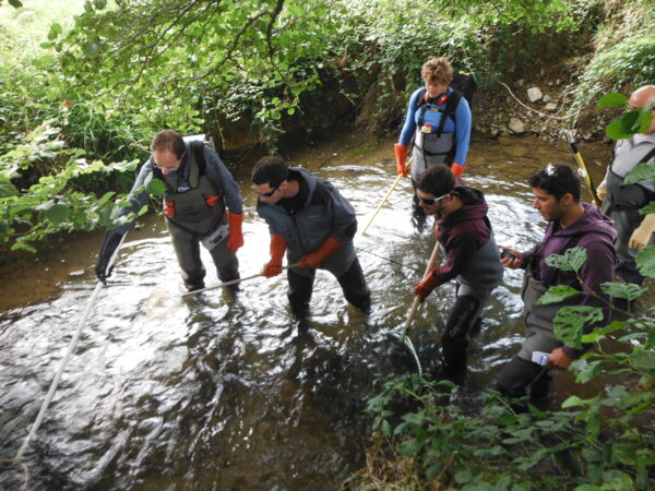 Dispositif P&ecirc;che &eacute;lectrique